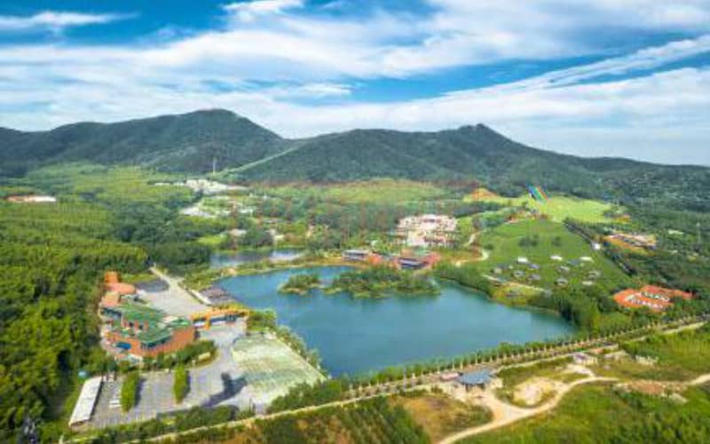 镇江拓展基地-大塘金香草谷拓展团建基地-贝塔基地