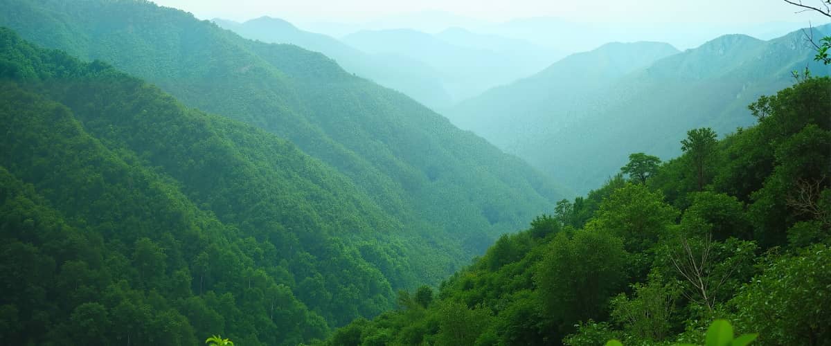 千岛湖游船团建图，杭州周边旅游团建