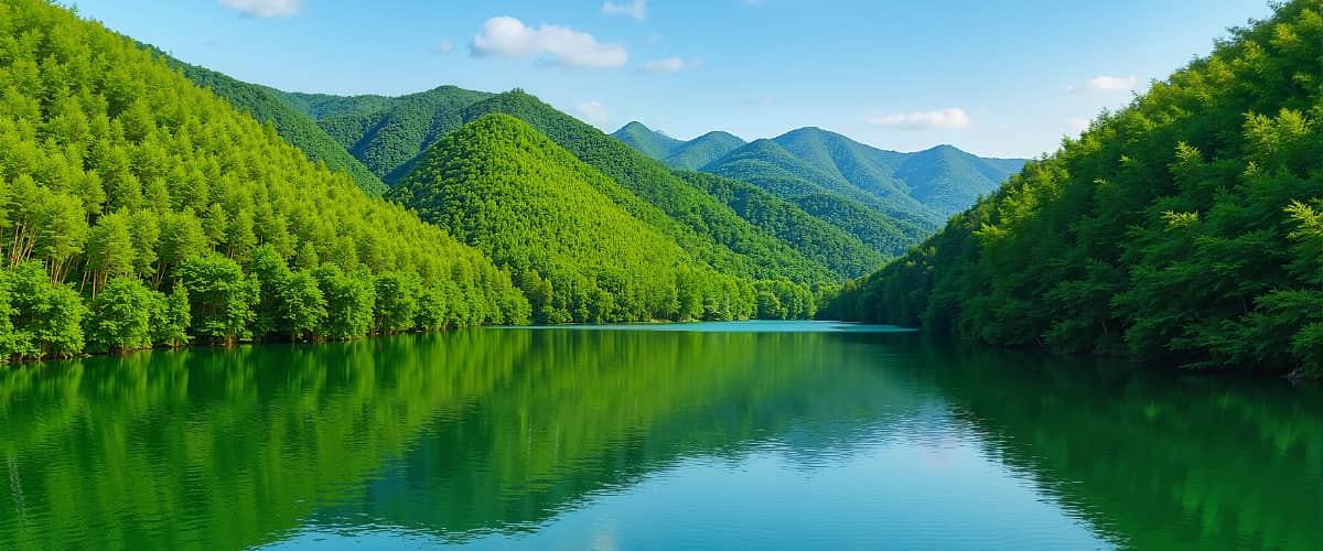 南山竹海