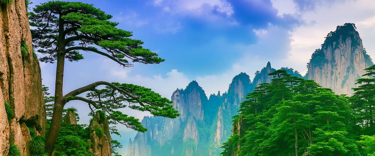黄山五绝图