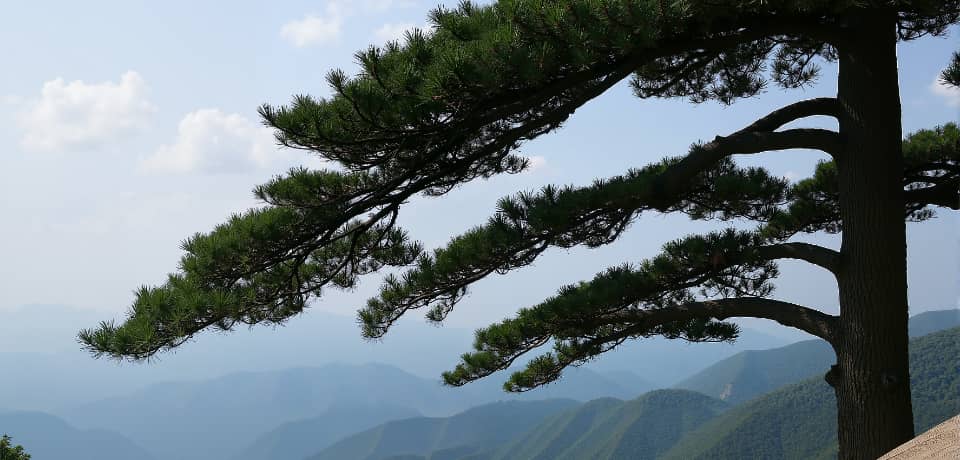镇江团建活动实景图_贝塔团建