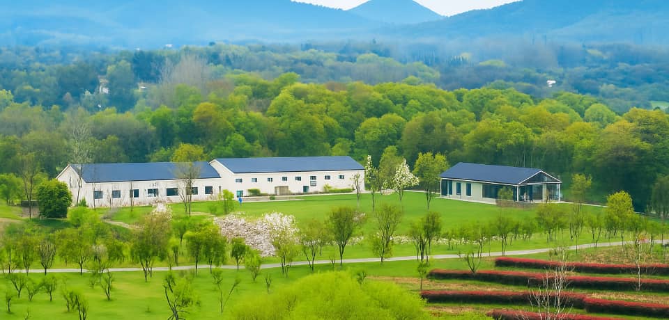 杭州团建活动实景图_贝塔团建