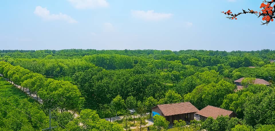 镇江团建活动实景图_贝塔团建