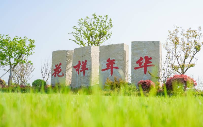 盐城有什么地方适合团建-盐城素质拓展训练-汉花缘·花样年华