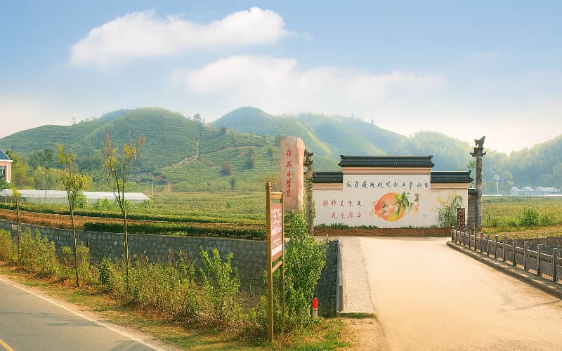 常州溧阳欣龙生态园拓展基地-镇江活动公司团建-团建哪家好