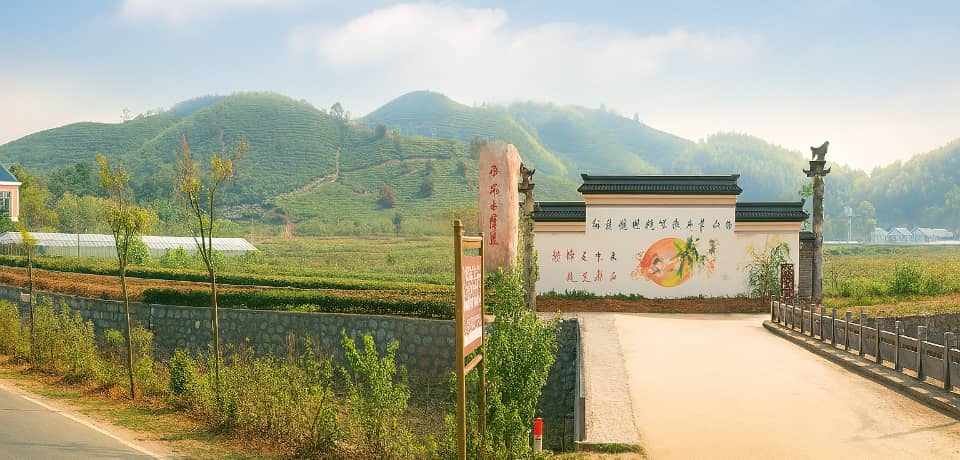 杭州团建活动实景图_贝塔团建