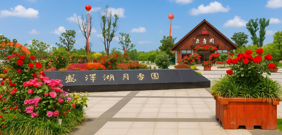 镇江团建策划公司-拓展训练训练镇江-苏州月季园基地