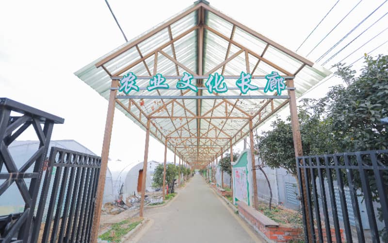 杭州团建活动实景图_贝塔团建