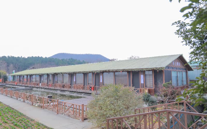 杭州团建活动实景图_贝塔团建