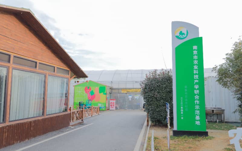 镇江团建活动实景图_贝塔团建