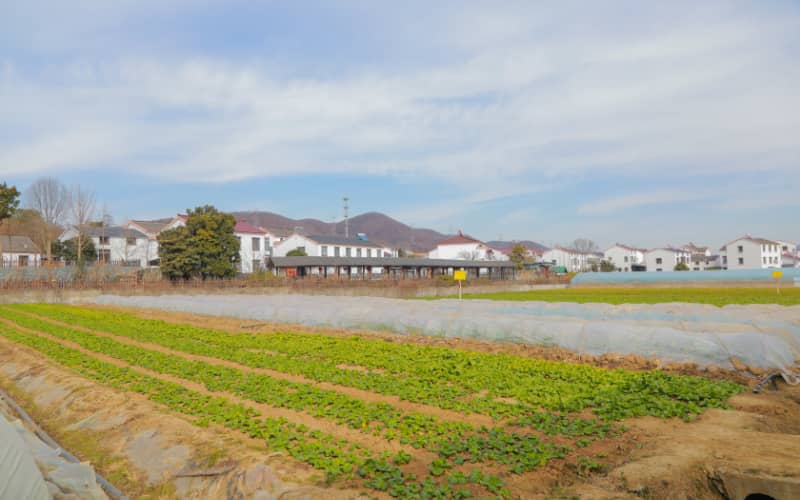 镇江团建活动实景图_贝塔团建