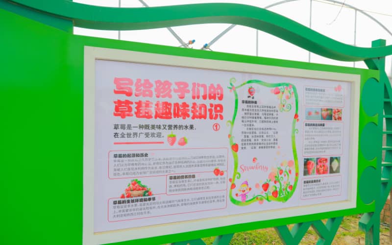 镇江团建活动实景图_贝塔团建