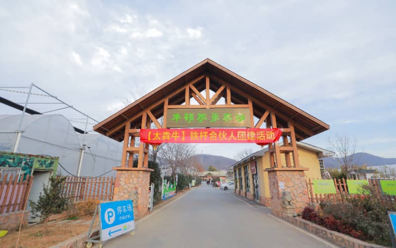 杭州团建活动实景图_贝塔团建