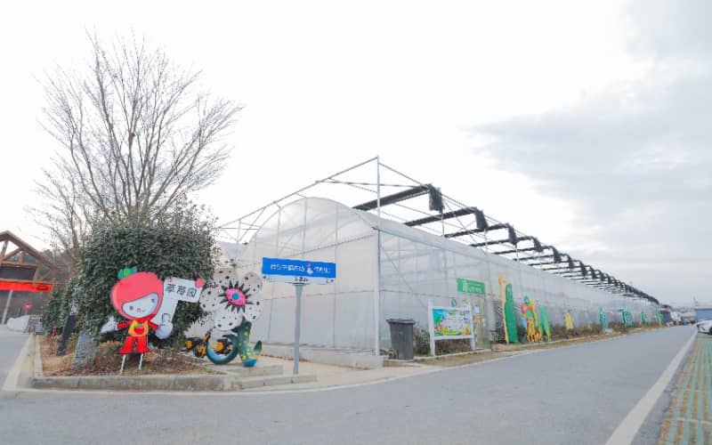 杭州团建活动实景图_贝塔团建