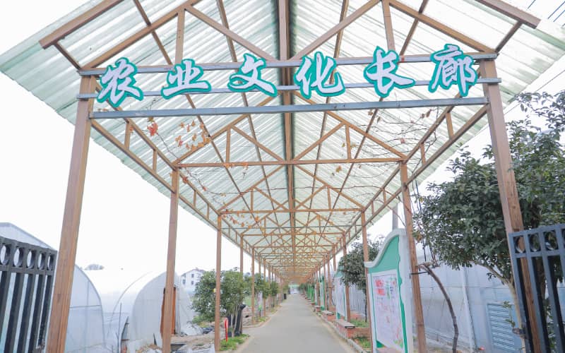 镇江团建活动实景图_贝塔团建