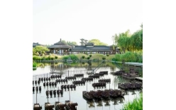 杭州团建推荐-杭州适合公司团建的地方-户外拓展训练有什么收获呢？