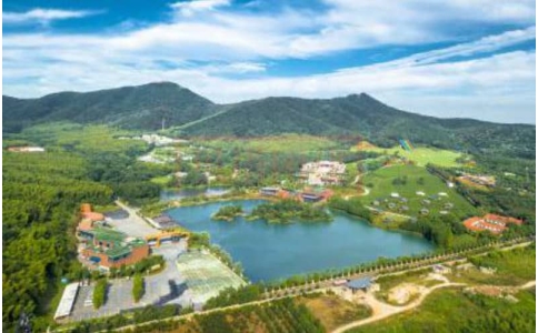 杭州拓展基地-大塘金香草谷拓展团建基地-贝塔基地