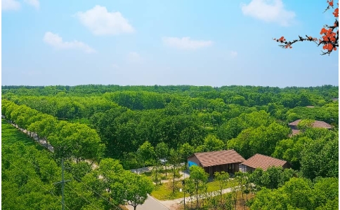 杭州百果园团建基地介绍_生态采摘+草坪拓展推荐场地_贝塔团建