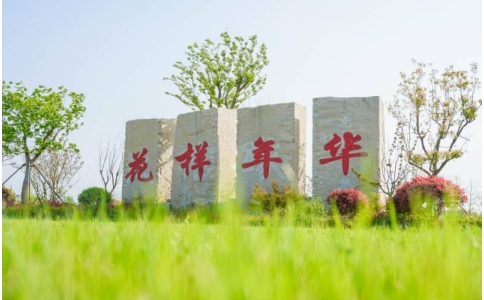 盐城有什么地方适合团建-盐城素质拓展训练-汉花缘·花样年华