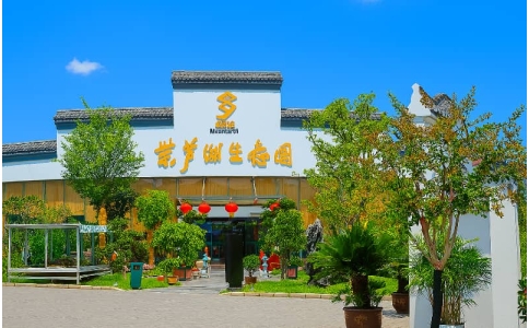 团建-宿州紫芦湖生态园团建基地