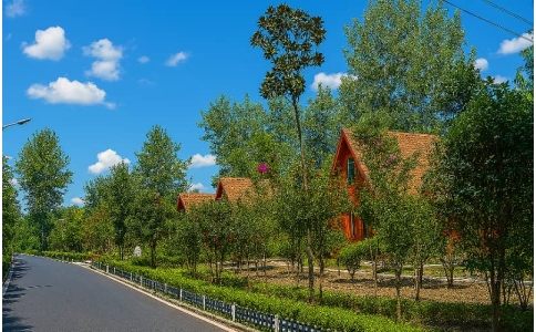 团建-宿州绿都生态园团建场地