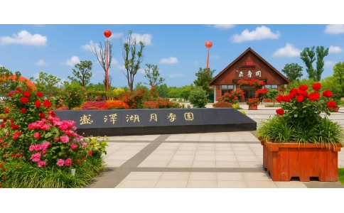 杭州团建策划公司-拓展训练训练杭州-苏州月季园基地