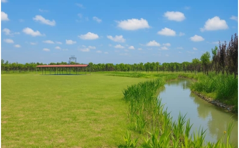 团建部门-南京拓展训练-苏州乐活岛拓展培训基地