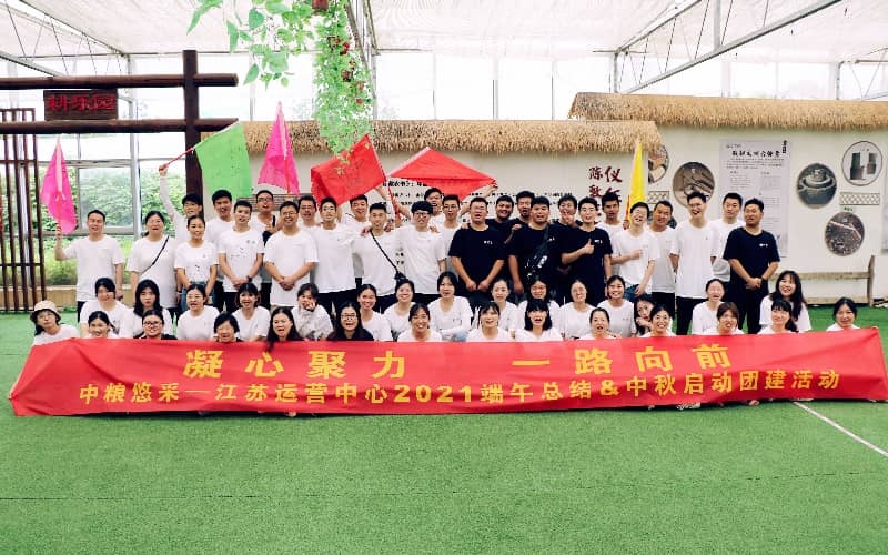 团队凝聚力团建案例｜专业定制高效团队活动