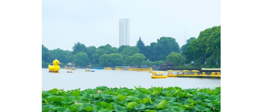 南京适合十人团建的地方-南京拓展培训-贝塔玄武湖樱洲基地