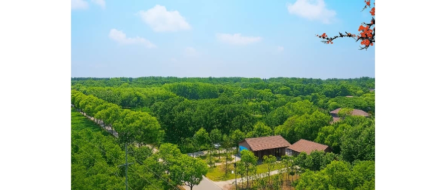 杭州百果园团建基地介绍_生态采摘+草坪拓展推荐场地_贝塔团建