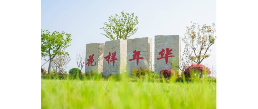 盐城有什么地方适合团建-盐城素质拓展训练-汉花缘·花样年华