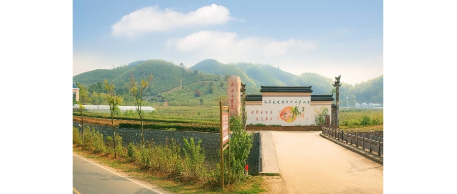 常州溧阳欣龙生态园拓展基地-杭州活动公司团建-团建哪家好