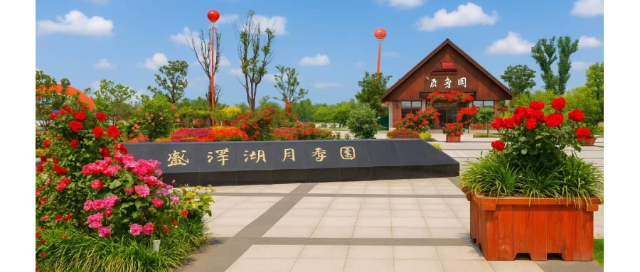 杭州团建策划公司-拓展训练训练杭州-苏州月季园基地